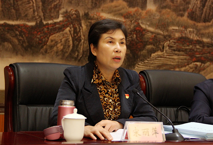 河南省文化和旅游厅党组书记宋丽萍出席会议并讲话
